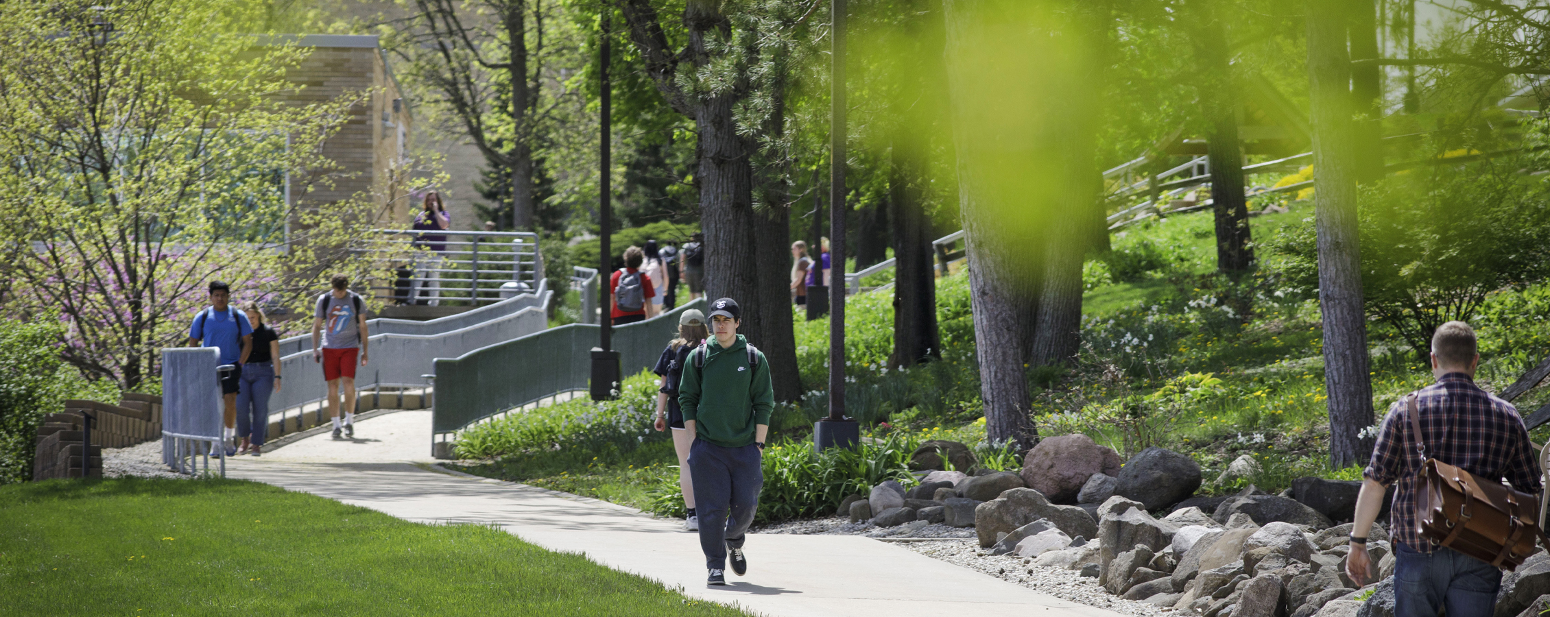 Students walk down a tree-lined sidewalk on the UW-Whitewater campus.